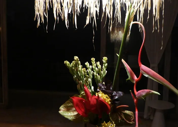 Bali Canggu Luxury Beachfront Villa Villa *